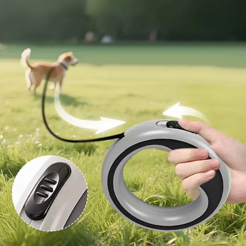 Laisse rétractable automatique pour chien, 2,5m, ergonomique, pour petit à moyen chien, diverses couleurs