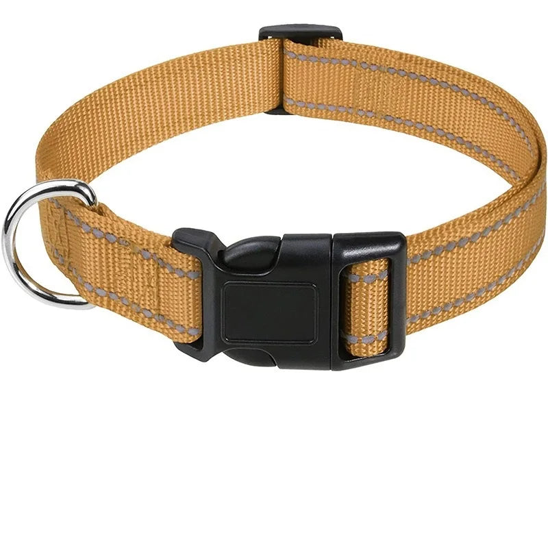 Collier ras de cou pour chiots et petits chiens, nylon robuste, diverses couleurs