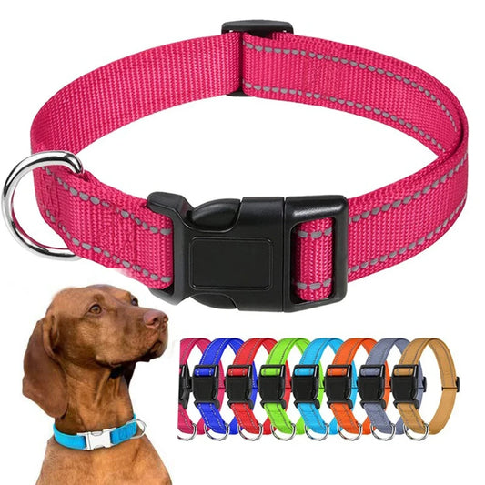 Collier ras de cou pour chiots et petits chiens, nylon robuste, diverses couleurs