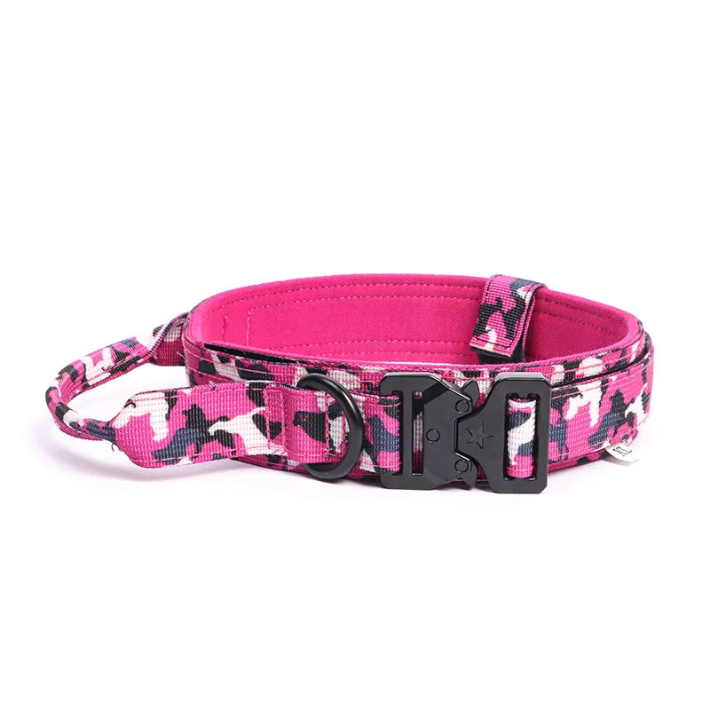 Collier et laisse de formation pour chiens de police, pour chiens moyens et grands, diverses couleurs