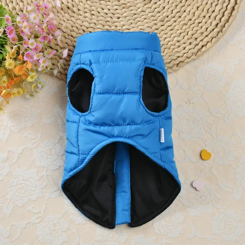 Manteau coupe vent pour petits chiens.
