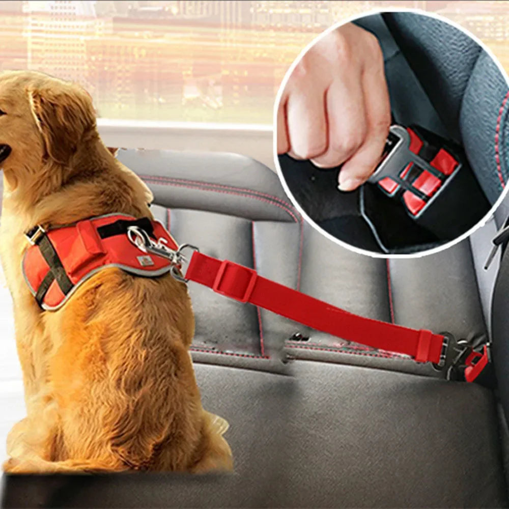 Ceinture de sécurité pour chien et chat, réglable en nylon, diverses couleurs