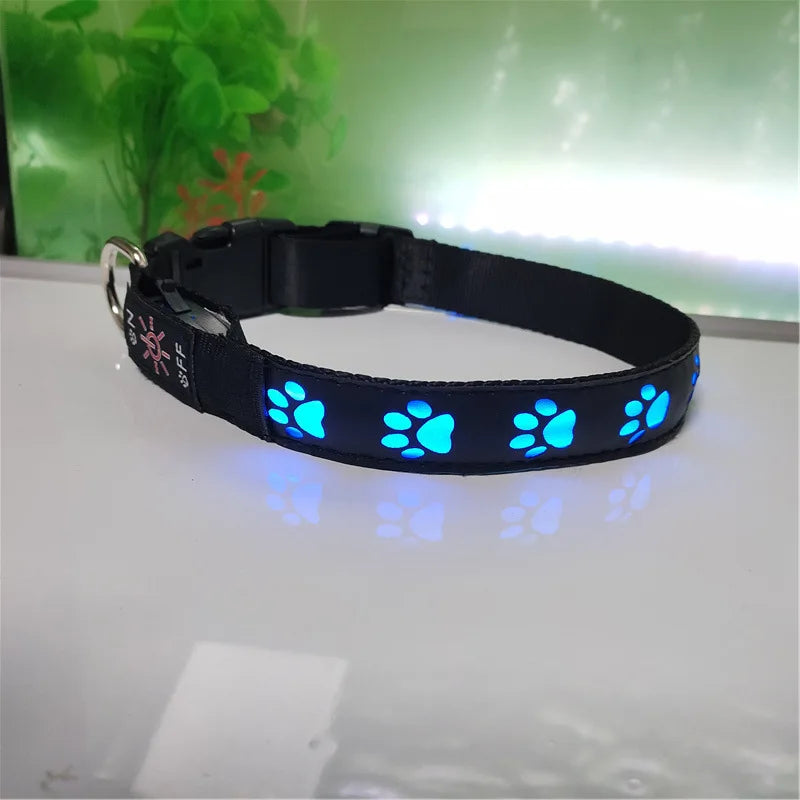 Collier pour chien, avec motif en forme de patte, lumineux pour la marche, diverses couleurs
