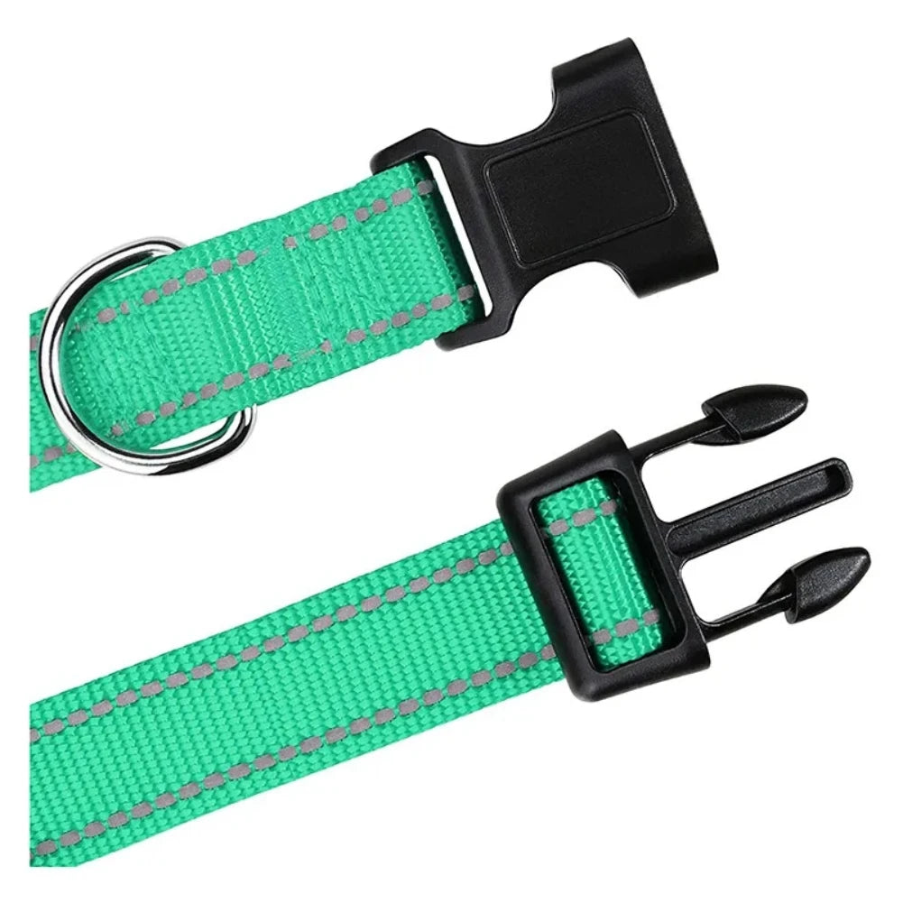 Collier ras de cou pour chiots et petits chiens, nylon robuste, diverses couleurs