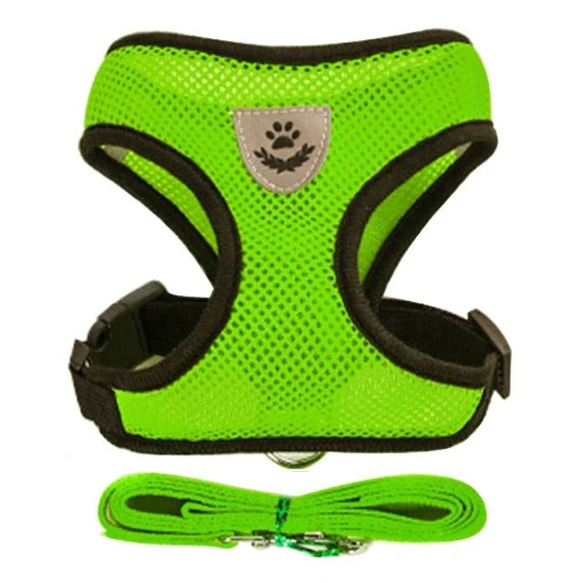 Harnais + laisse assortie, pour chat et petit chien, maille respirante et confortable, diverses couleurs