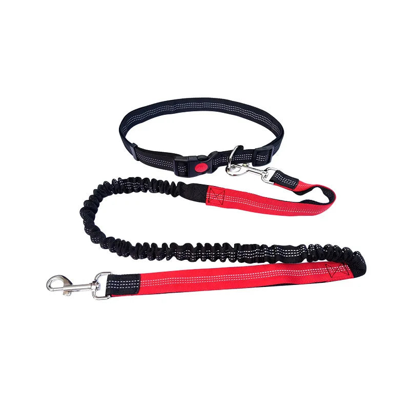 Laisse pour chien mains libres pour promenade, course à pied, jogging. Laisse réglable, ceinture abdominale, sangle thoracique, diverses couleurs