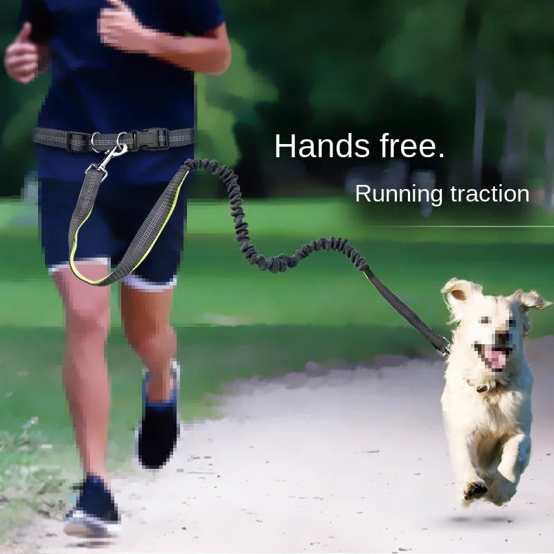Laisse pour chien mains libres pour promenade, course à pied, jogging. Laisse réglable, ceinture abdominale, sangle thoracique, diverses couleurs