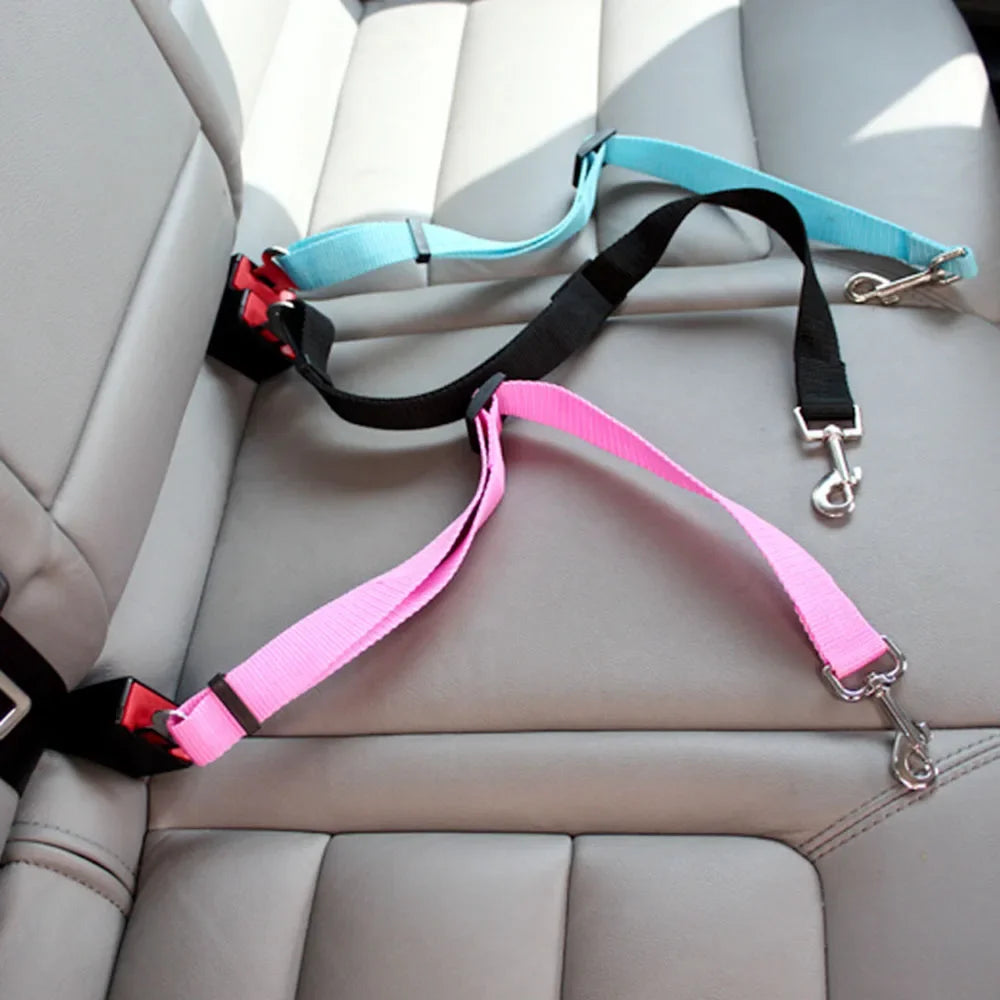 Ceinture de sécurité pour chien et chat, réglable en nylon, diverses couleurs