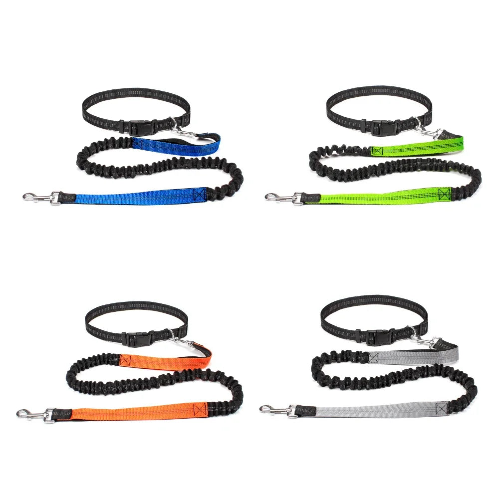 Laisse pour chien mains libres pour promenade, course à pied, jogging. Laisse réglable, ceinture abdominale, sangle thoracique, diverses couleurs