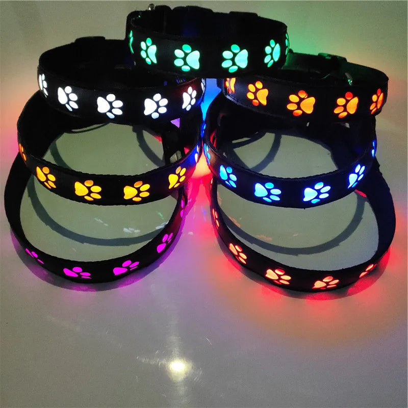 Collier pour chien, avec motif en forme de patte, lumineux pour la marche, diverses couleurs
