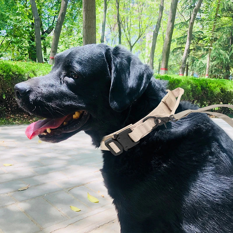 Collier et laisse de formation pour chiens de police, pour chiens moyens et grands, diverses couleurs