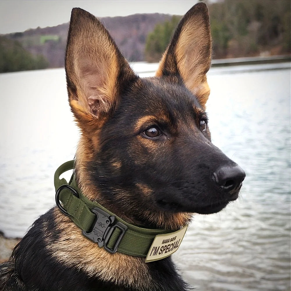 Colliers tactiques robustes pour chiens, avec poignée. Collier militaire avec Patch personnalisable. Pour l'entraînement en plein air et la marche. Chiens moyens et grands, diverses couleurs