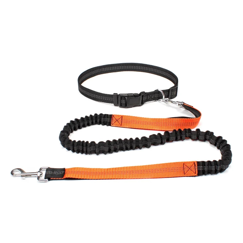 Laisse pour chien mains libres pour promenade, course à pied, jogging. Laisse réglable, ceinture abdominale, sangle thoracique, diverses couleurs