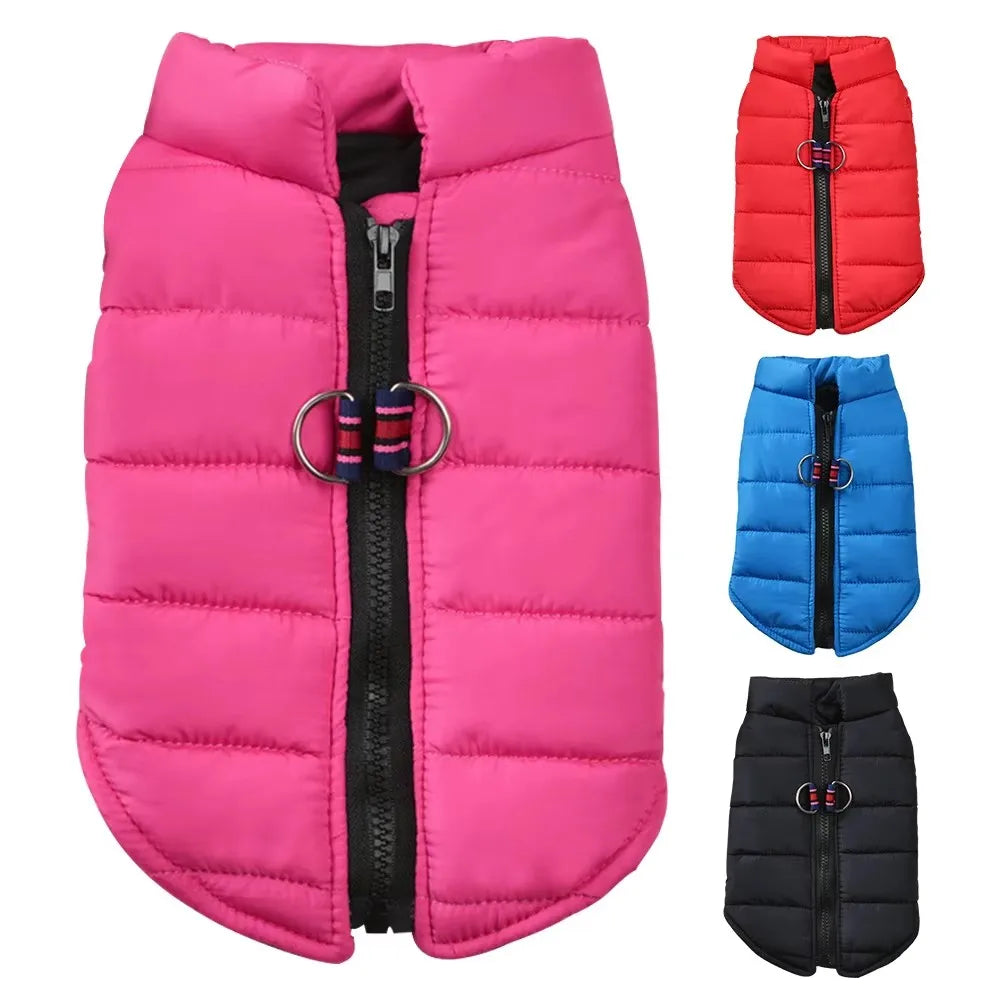 Manteau coupe vent pour petits chiens.
