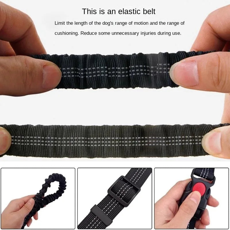 Laisse pour chien mains libres pour promenade, course à pied, jogging. Laisse réglable, ceinture abdominale, sangle thoracique, diverses couleurs
