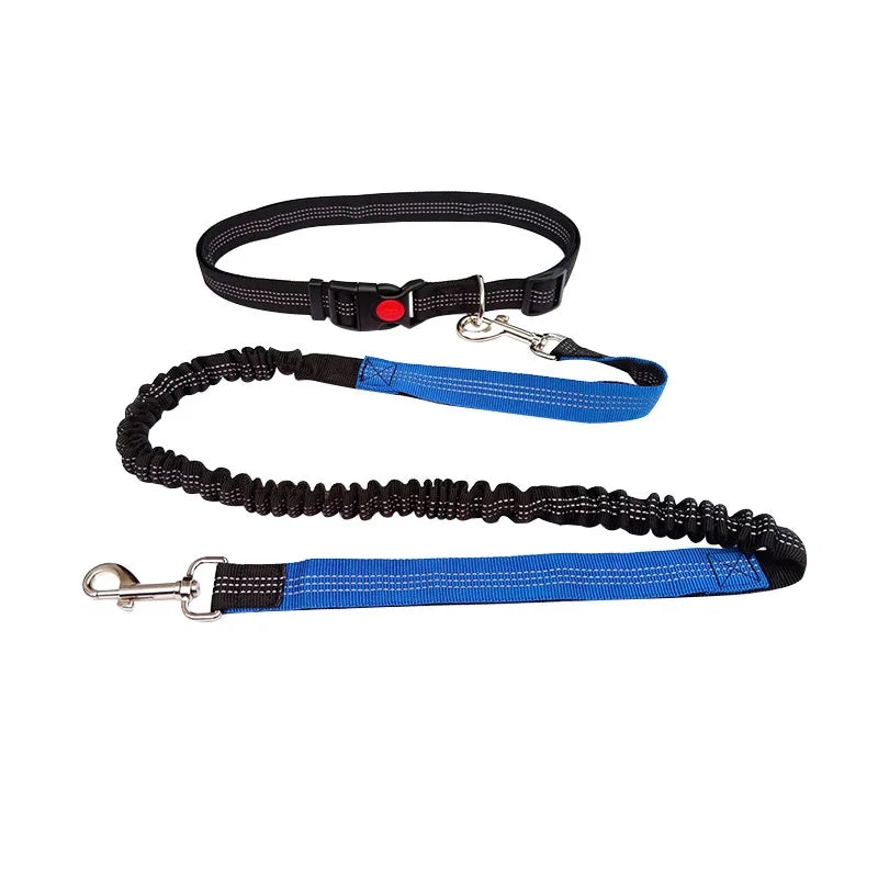 Laisse pour chien mains libres pour promenade, course à pied, jogging. Laisse réglable, ceinture abdominale, sangle thoracique, diverses couleurs