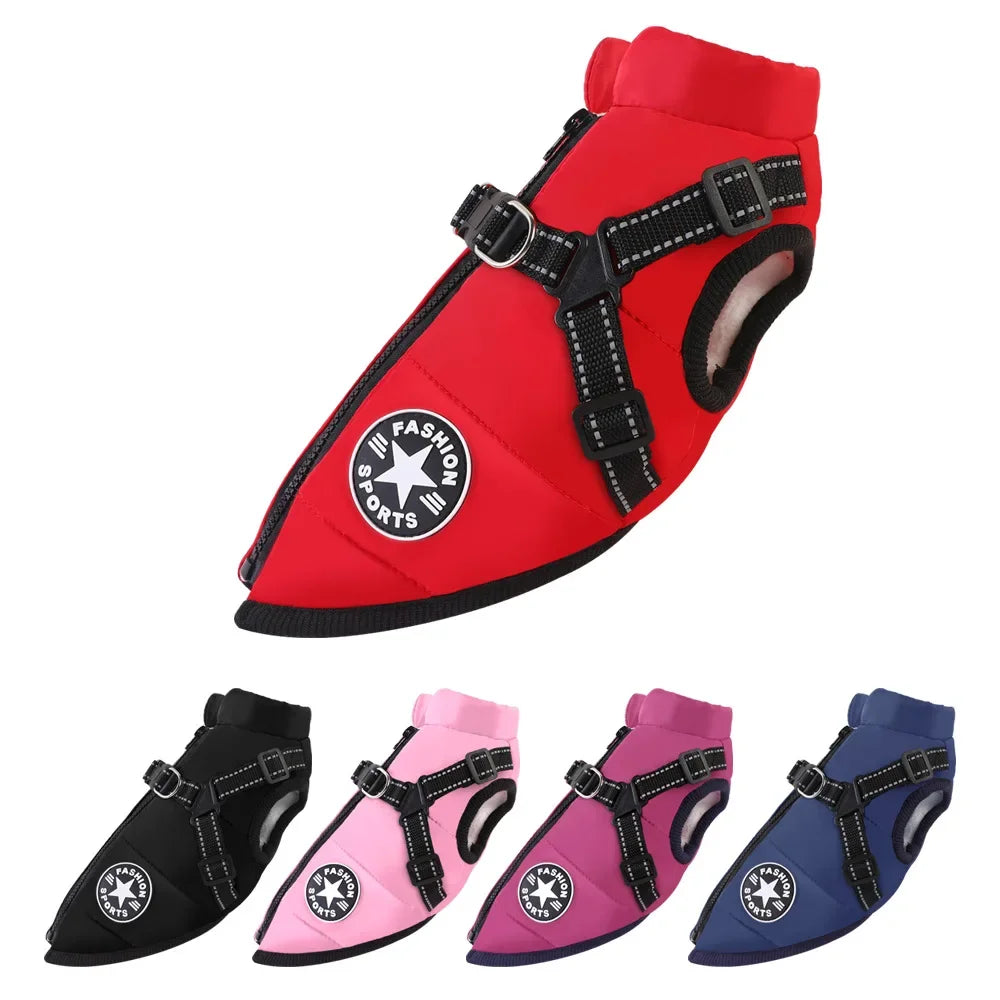 Manteau pour chiens chauds et imperméable. Design "Fashion sport", diverses couleurs