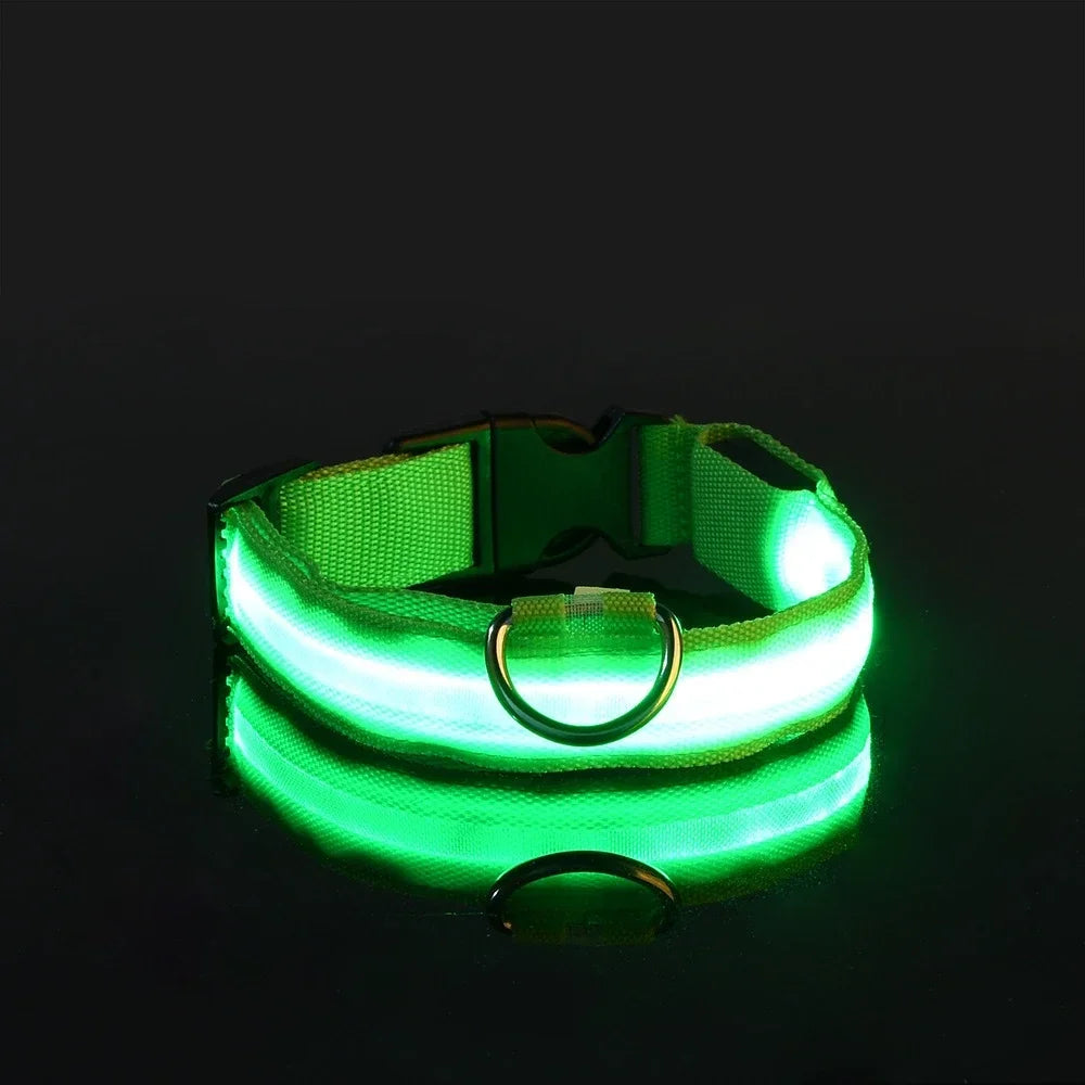 Collier pour chien en Nylon, LED clignotantes pour la sécurité nocturne, diverses couleurs