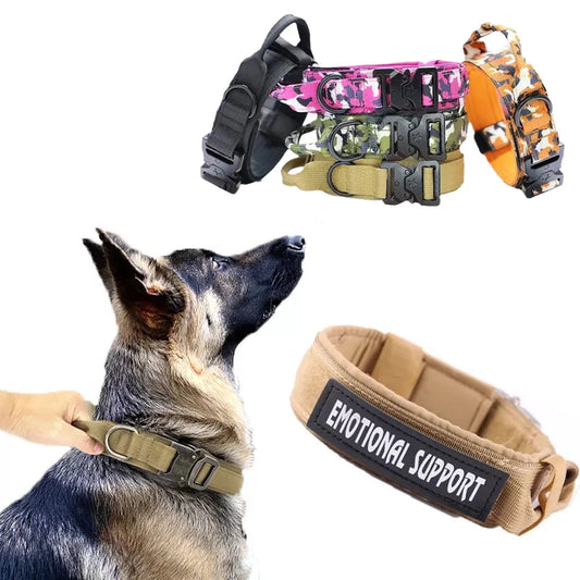 Collier et laisse de formation pour chiens de police, pour chiens moyens et grands, diverses couleurs