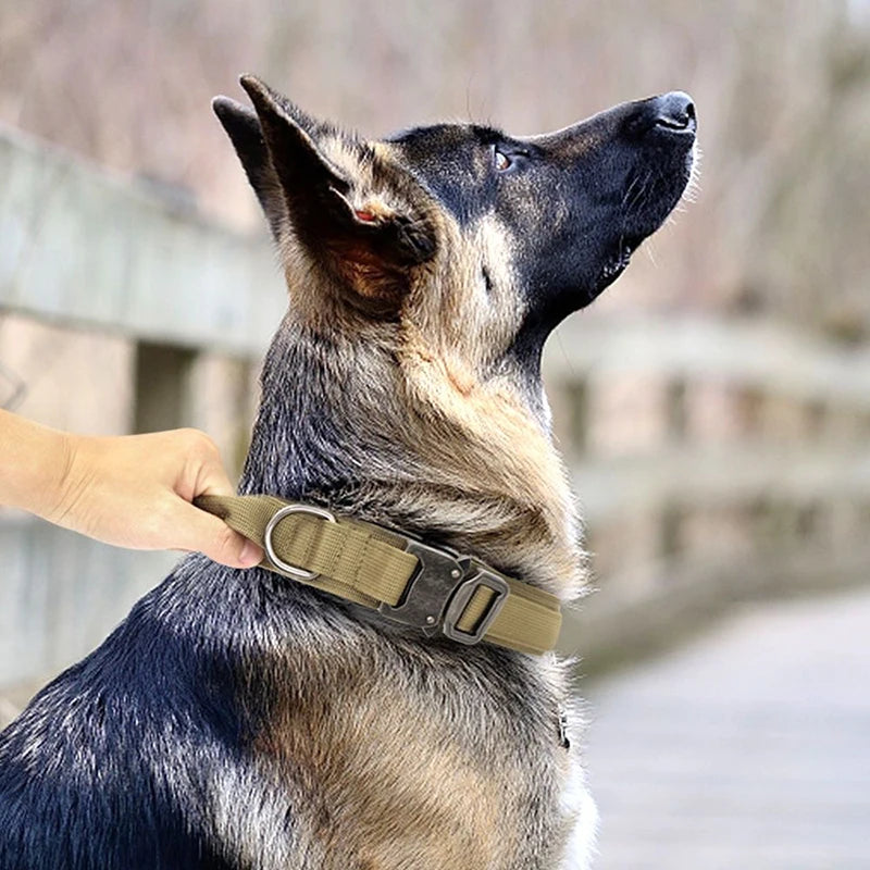 Collier et laisse de formation pour chiens de police, pour chiens moyens et grands, diverses couleurs