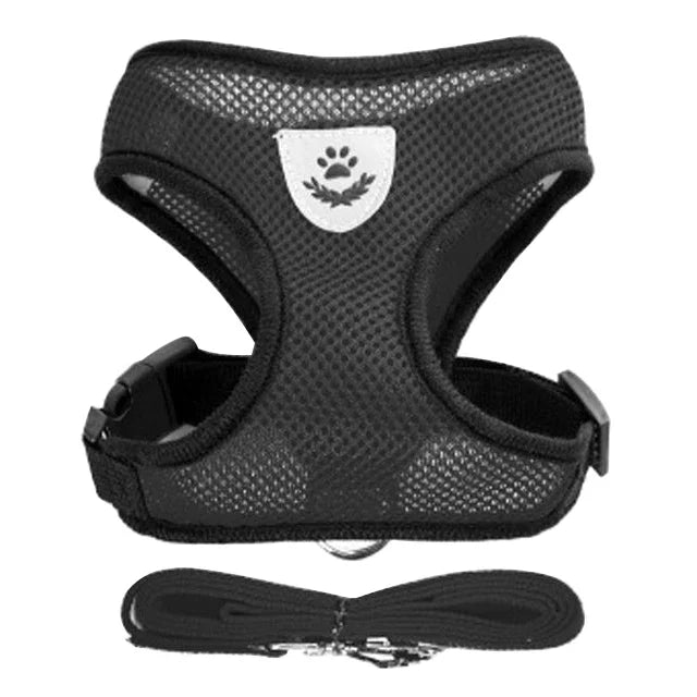 Harnais + laisse assortie, pour chat et petit chien, maille respirante et confortable, diverses couleurs