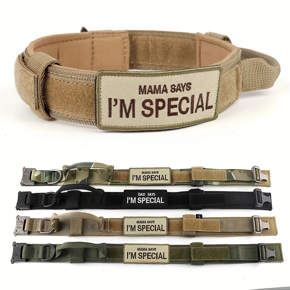 Colliers tactiques robustes pour chiens, avec poignée. Collier militaire avec Patch personnalisable. Pour l'entraînement en plein air et la marche. Chiens moyens et grands, diverses couleurs
