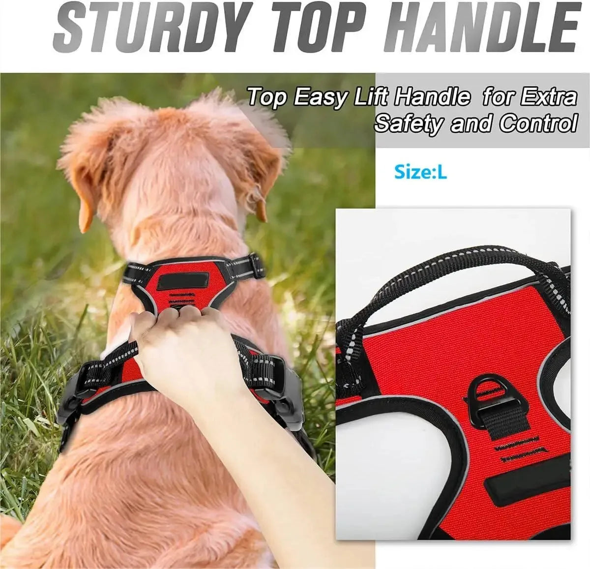Harnais pour chiens, taille S à XL, diverses couleurs
