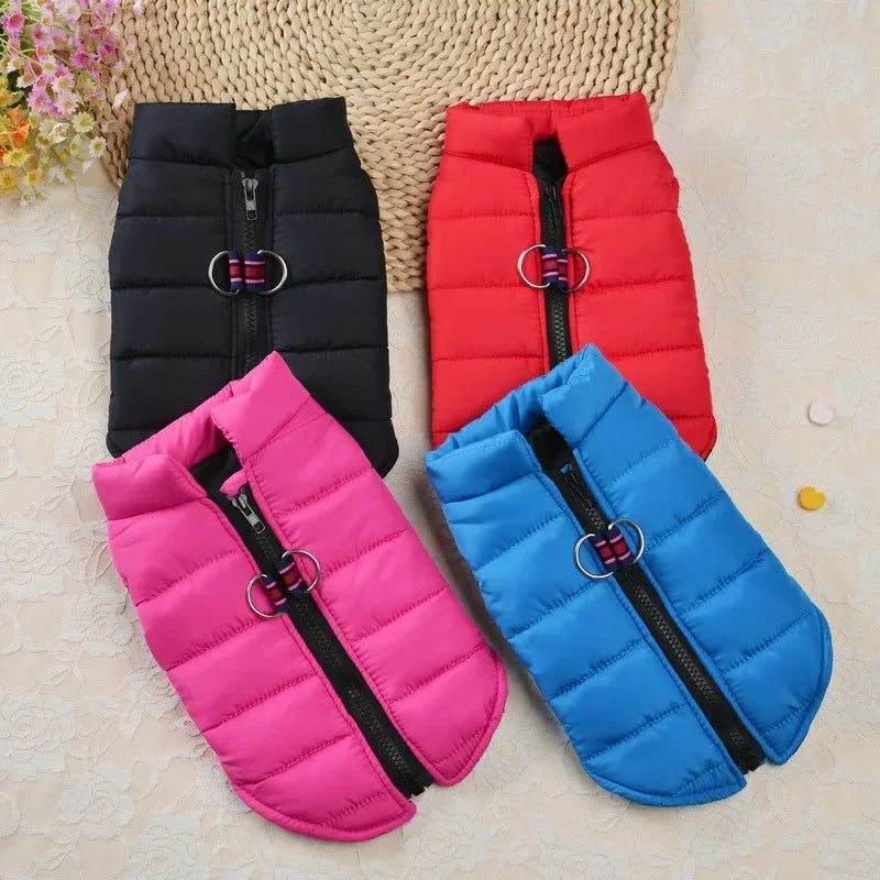 Manteau coupe vent pour petits chiens.