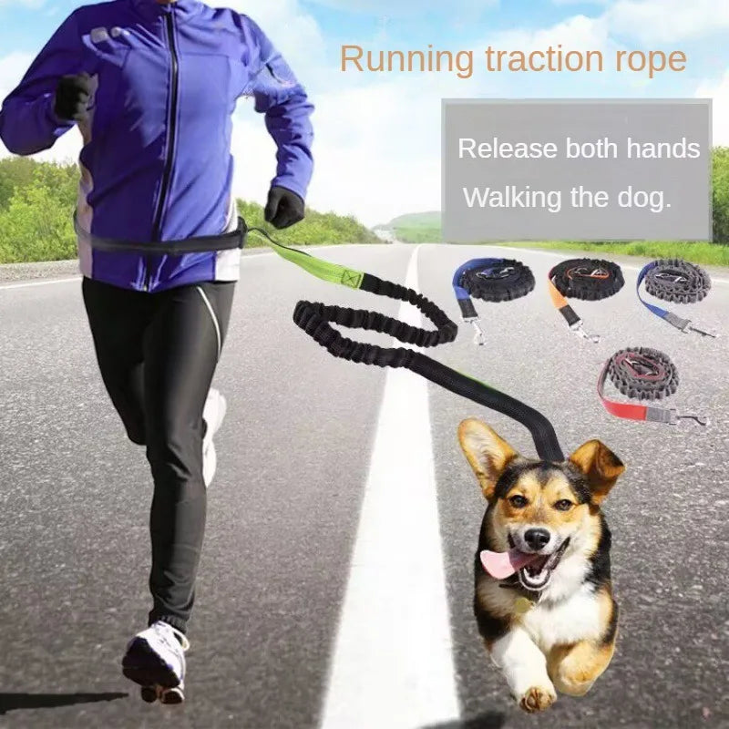 Laisse pour chien mains libres pour promenade, course à pied, jogging. Laisse réglable, ceinture abdominale, sangle thoracique, diverses couleurs