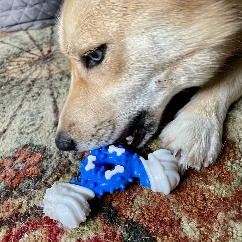 Jouet à mâcher pour chien, triangulaire, pour le nettoyage des dents, résistant aux morsures, diverses couleurs