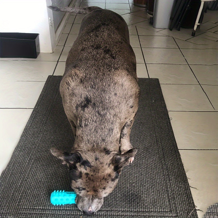 Jouet à mâcher pour chien, bâton moléculaire résistant aux morsures, nettoyant les dents, jouet éducatif d'entraînement