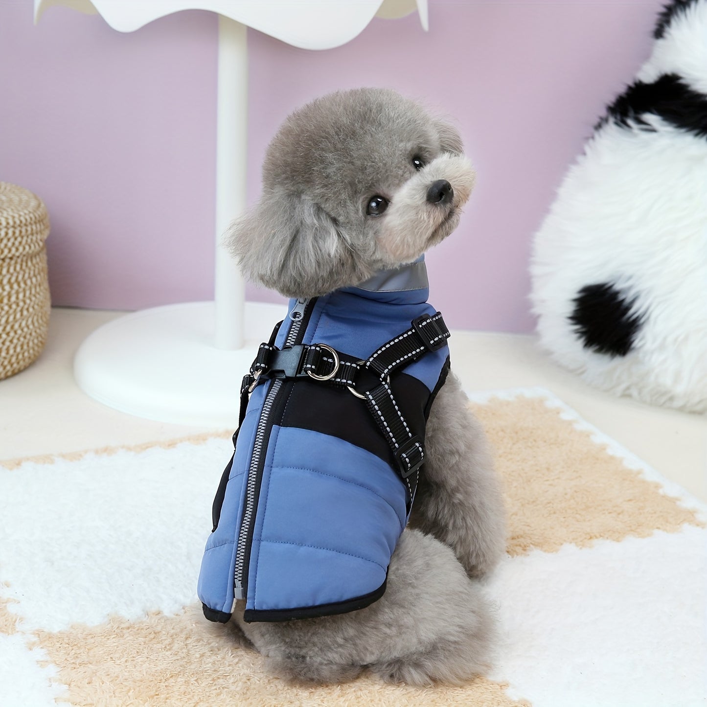 Veste épaisse avec col , disponible en beige,rose ou bleu, fermeture à boucle réglable pour les animaux de taille XS à M (utilisation à l'intérieur et à l'extérieur) - Manteau rembourré doux