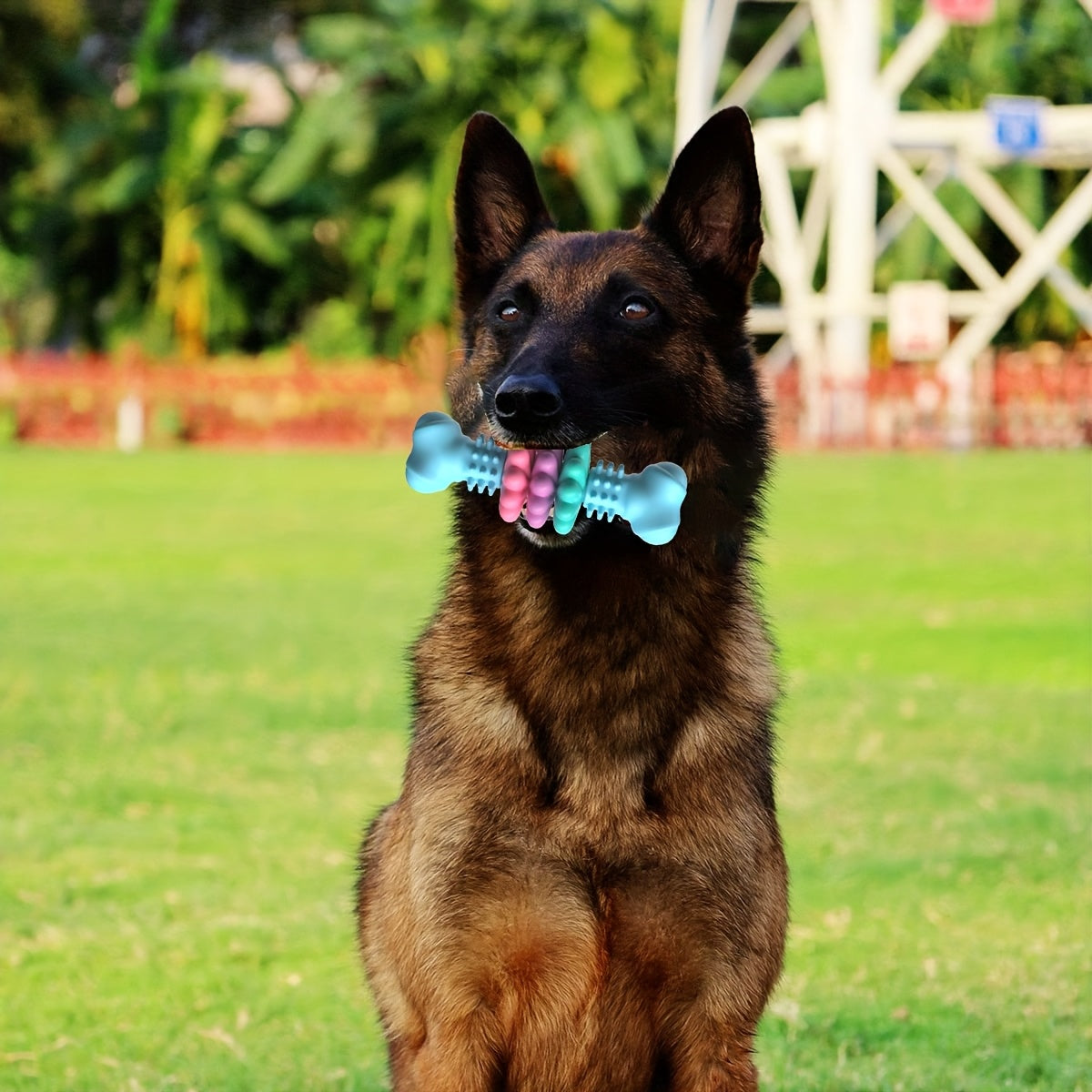 Jouet à mâcher pour chiens, résistant aux morsures, jouet en forme d'os, diverses couleurs