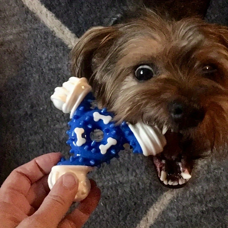 Jouet à mâcher pour chien, triangulaire, pour le nettoyage des dents, résistant aux morsures, diverses couleurs