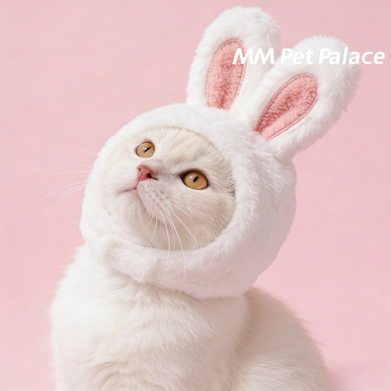 Casque tout doux à oreilles de lapin pour chat, costume mignon pour Pâques, lavable à sec uniquement