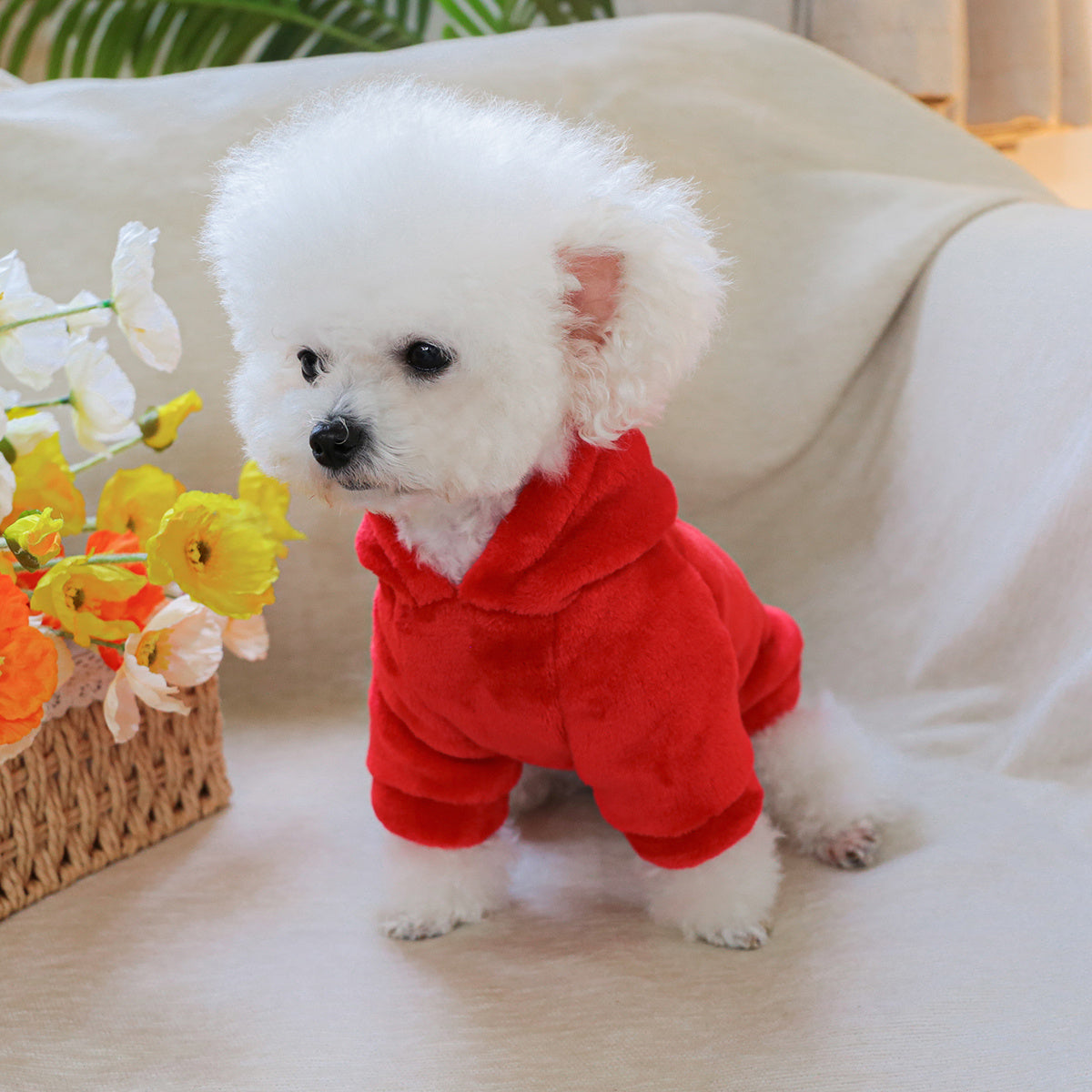 Sweat à capuche en forme de fraise, costume coloré pour petit chien, bien chaud