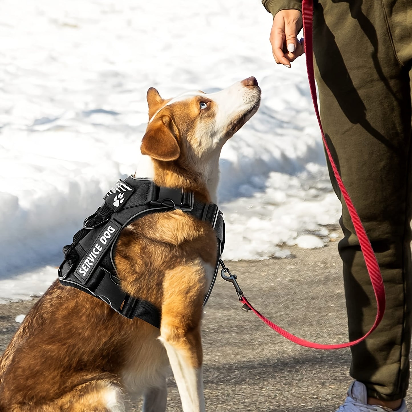Harnais de sécurité pour chien, réfléchissant, confortable, possibilité de personnaliser les bandes latérales, diverses couleurs