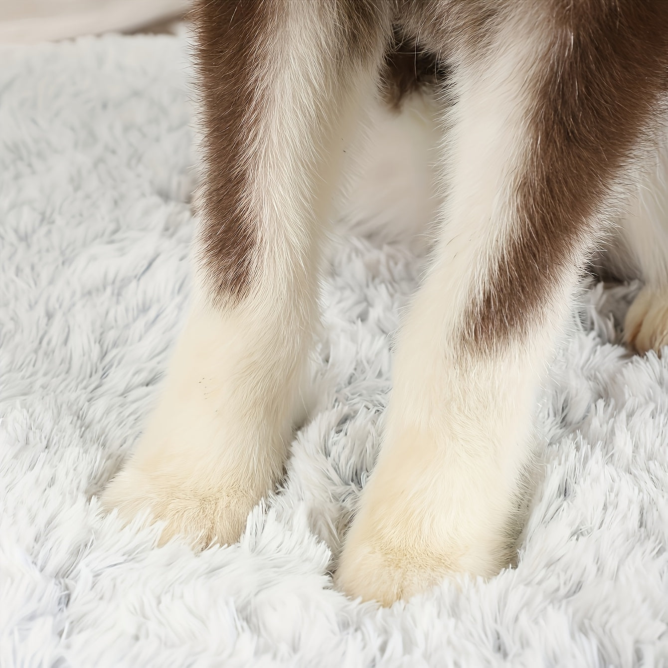 Lit/matelas épais pour chien et chat, ultra confortable, à poils longs, bien chaud, diverses couleurs