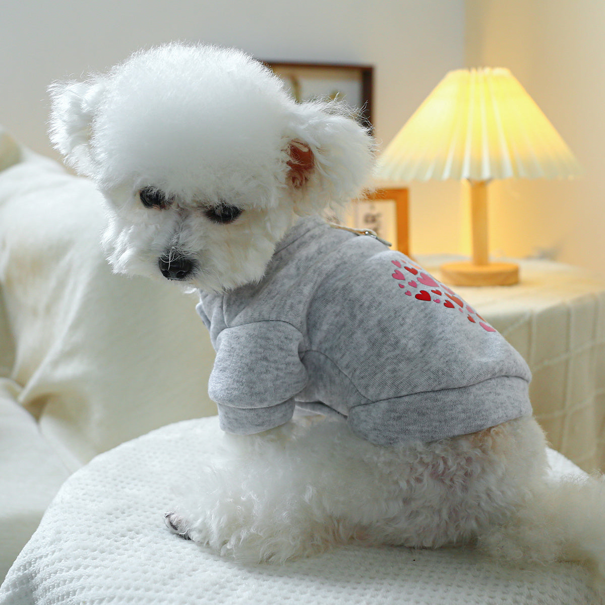 Pull pour chien, gris avec des petits cœurs rouges et roses, anneau intégré pour pouvoir aller en balade