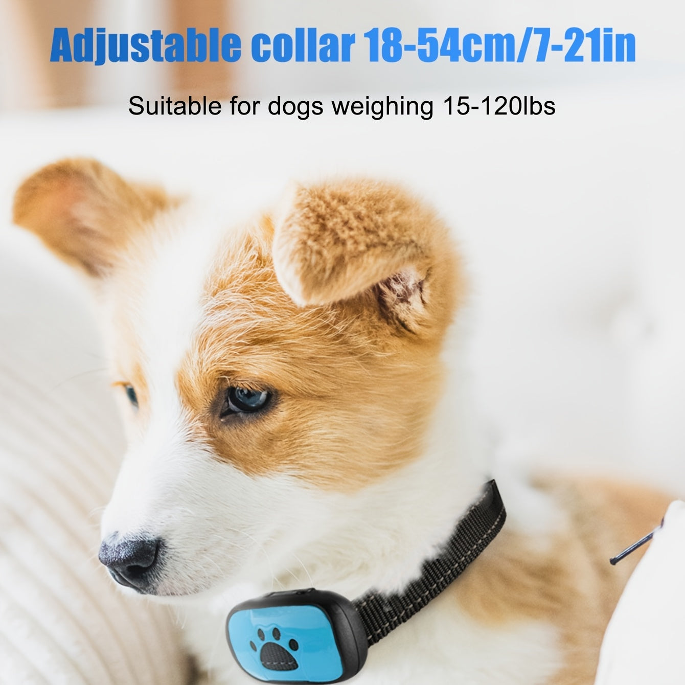Collier anti-aboiement intelligent pour chien, système de vibration, indolore, rechargeable par USB, diverses couleurs