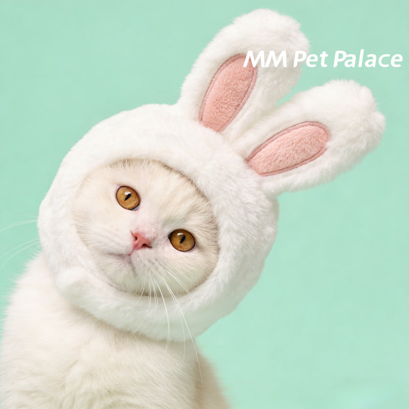 Casque tout doux à oreilles de lapin pour chat, costume mignon pour Pâques, lavable à sec uniquement