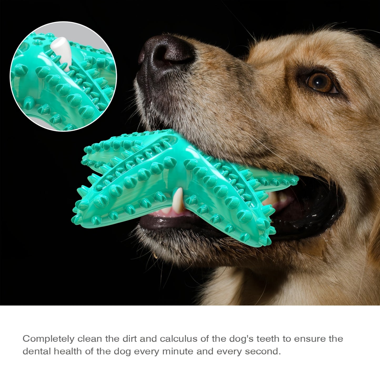 Jouet à mâcher interactif pour chien, pour jouer avec les molaires, en forme d'étoile de mer, résistant et qui couine, diverses couleurs
