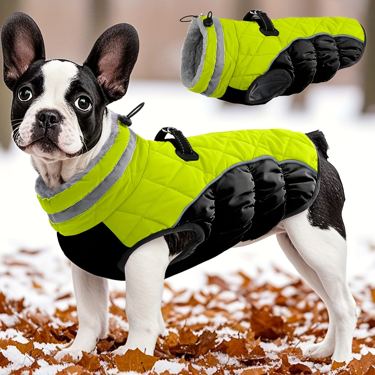 Veste fluorescente verte pour chien - Manteau à fermeture éclair facile à enfiler, idéal pour les chiens de toutes tailles
