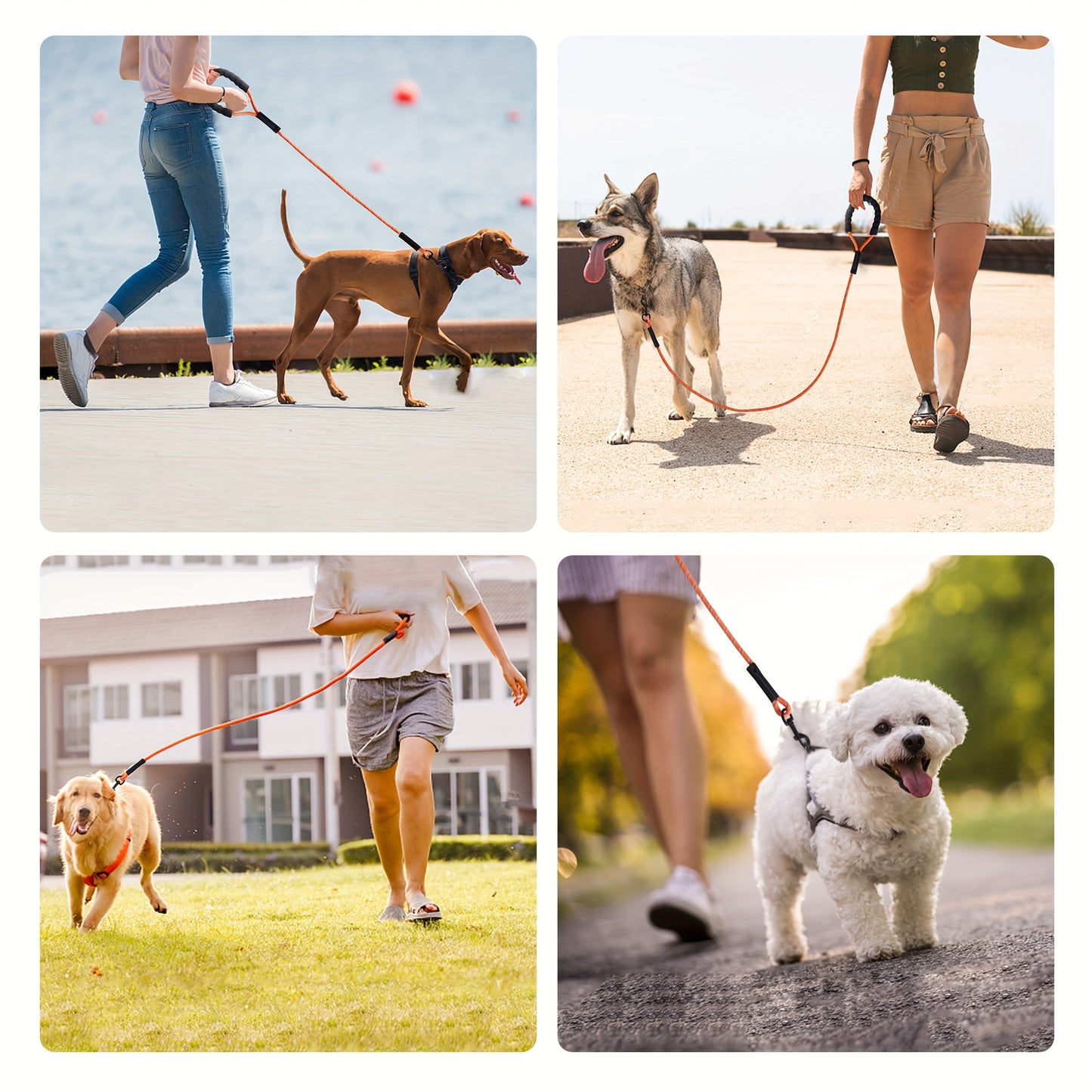 Laisse extra longue pour chien de 20m et 30m, bandes réfléchissantes et poignée rembourrée douce, disponible en orange et noir - Idéale pour l'entraînement, les jeux, le camping, les balades, etc