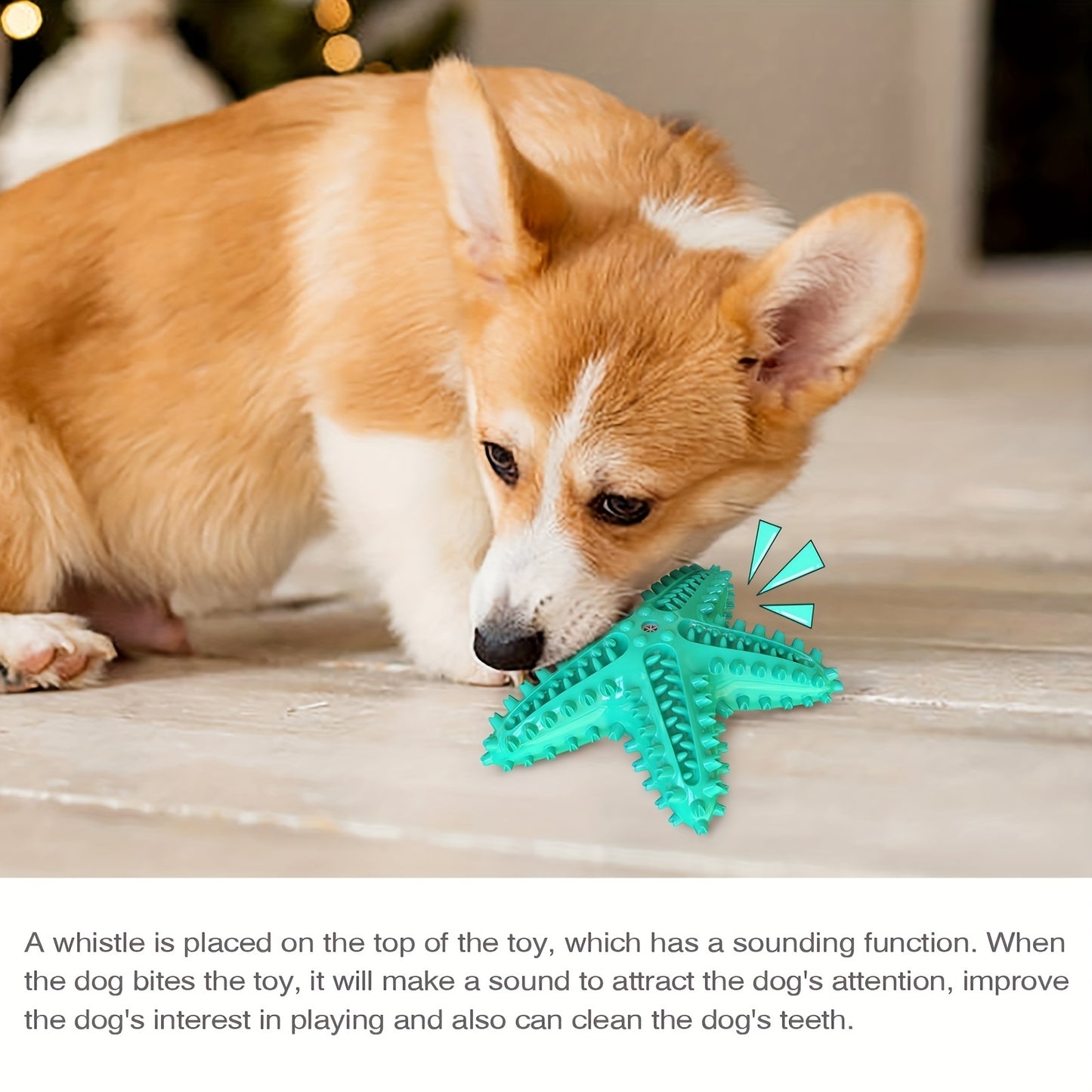 Jouet à mâcher interactif pour chien, pour jouer avec les molaires, en forme d'étoile de mer, résistant et qui couine, diverses couleurs