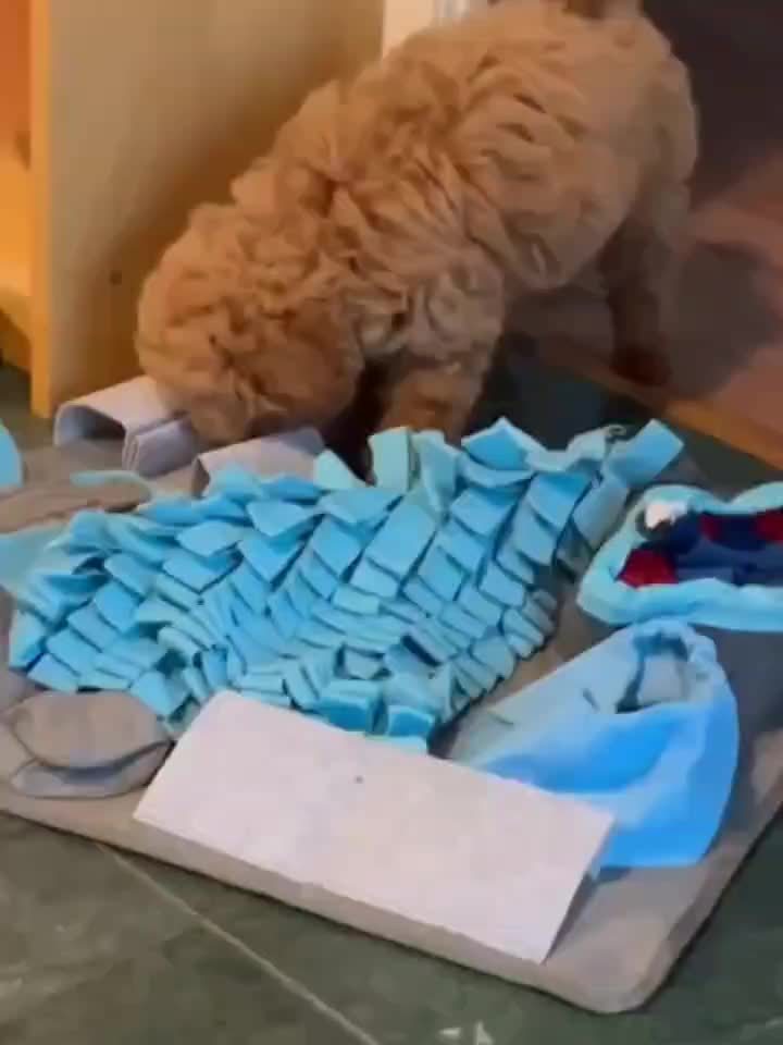 Tapis à renifler pour chien de toute taille, pour dépenser leur énergie, jouet de chasse au trésor pour chien