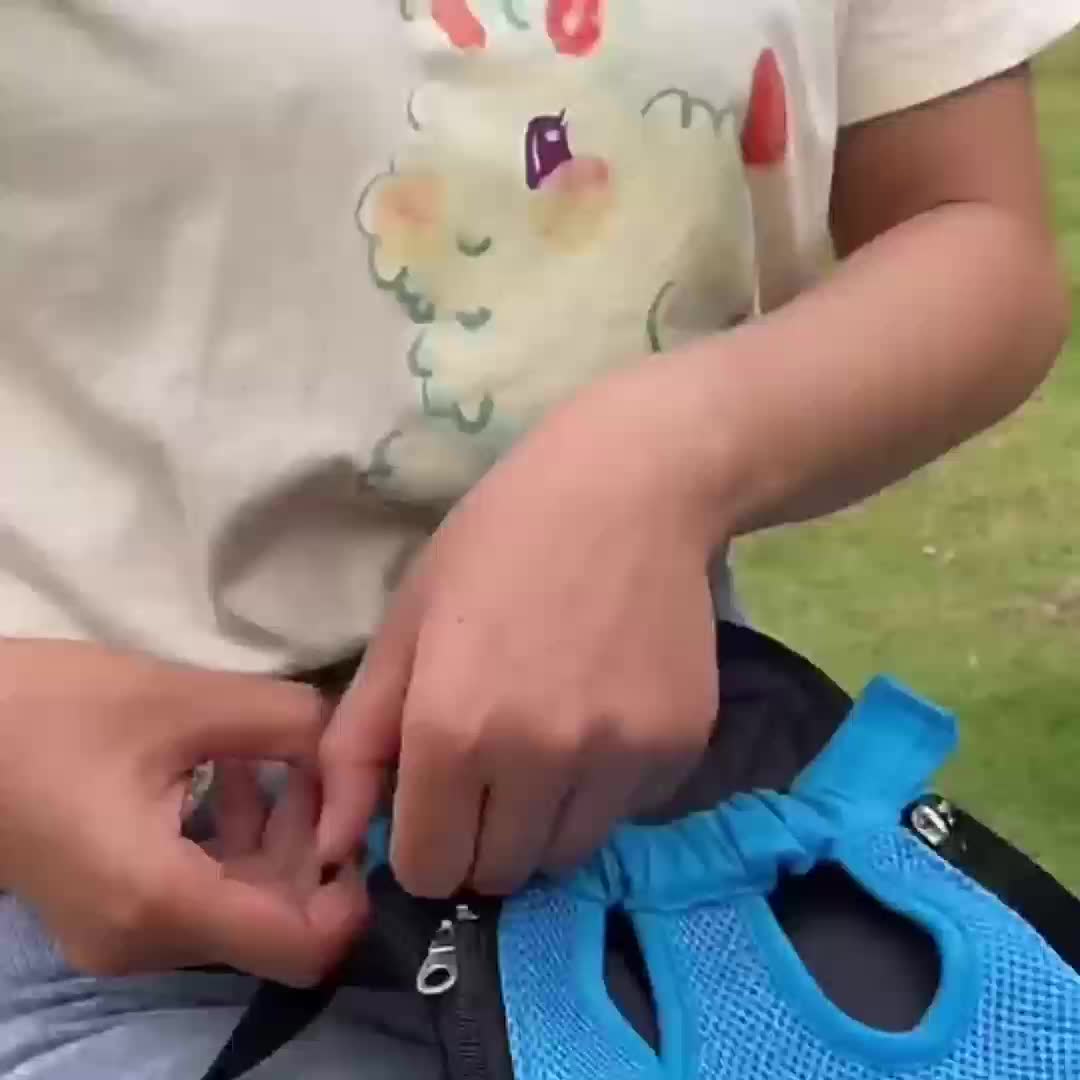 Sac à dos de transport pour chien, en position assise avec les pattes hors du sac. Conçu en maille, le sac est aéré et confortable, disponible en diverses couleurs