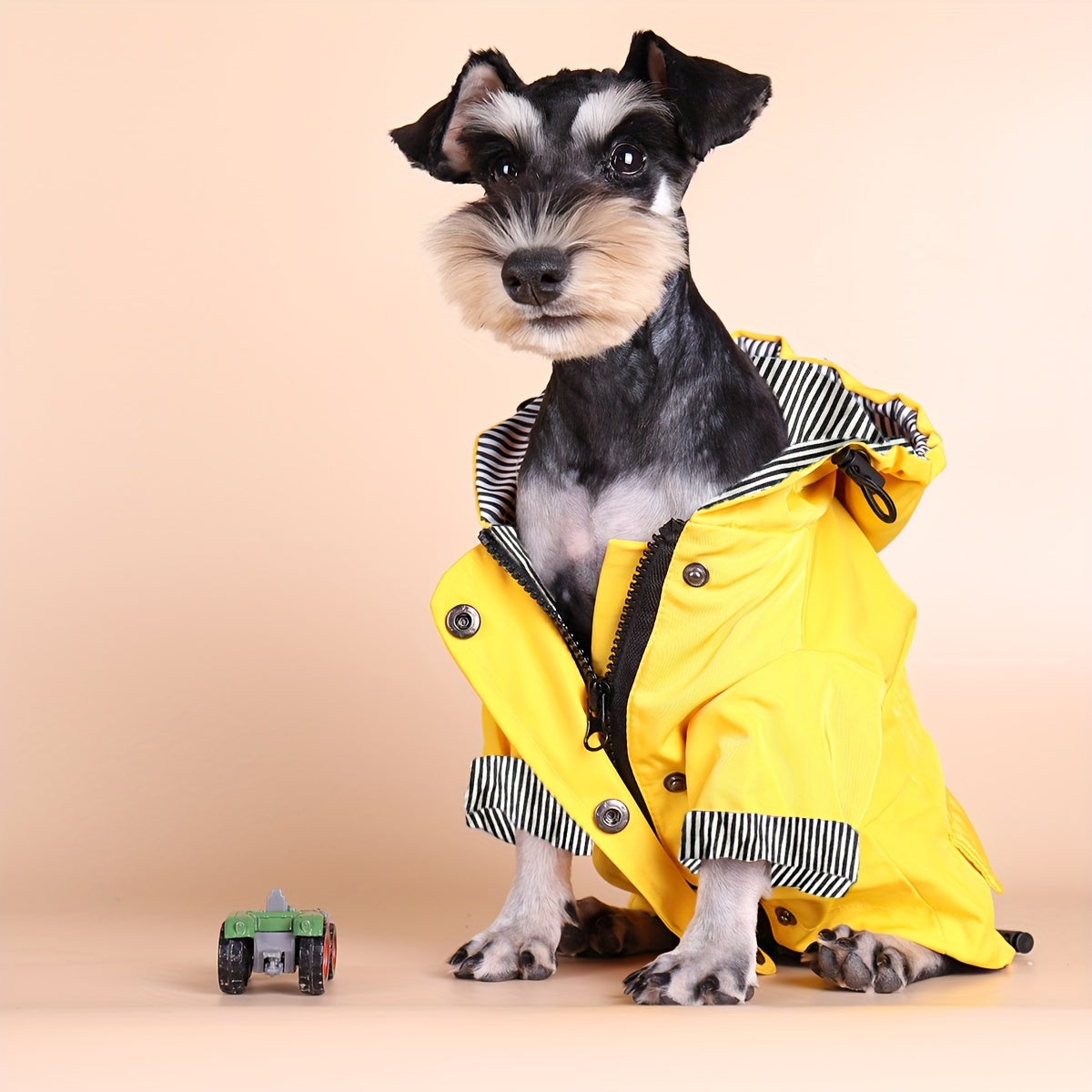 Gardez votre chiot ou petit chien au chaud et au sec grâce à cette élégante veste imperméable à rayures !